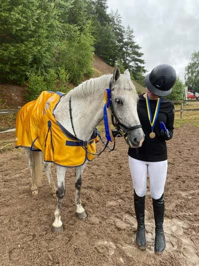 Post 84 of Show jumping with title Lag-SM guld 2024🔥