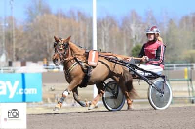 Inlägg 71 av Ponnytrav med titeln Ponnytrav 