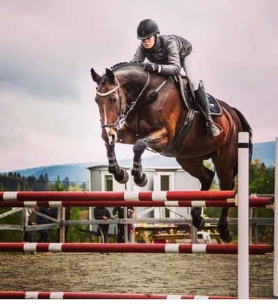 Inlägg 28 av Allround