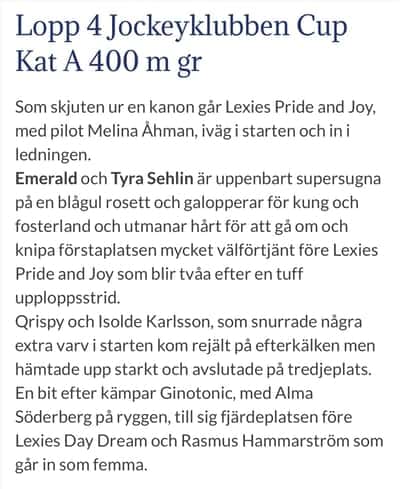 Inlägg 13 av Korsningsponny med titeln Referat