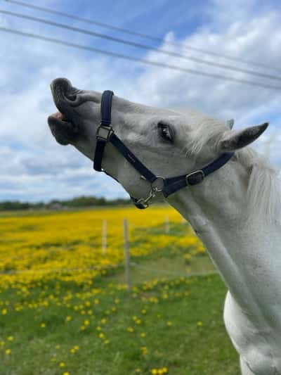 Inlägg 125 av Allround