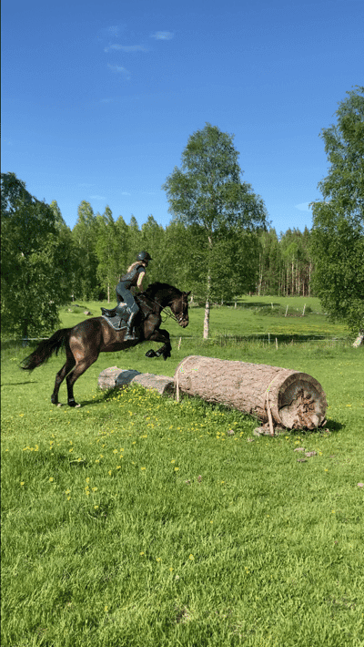 Inlägg 11 av Fälttävlan med titeln Epas första terrängträning 