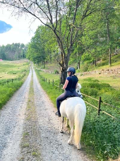 Inlägg 16 av Island med titeln 🔥🔥