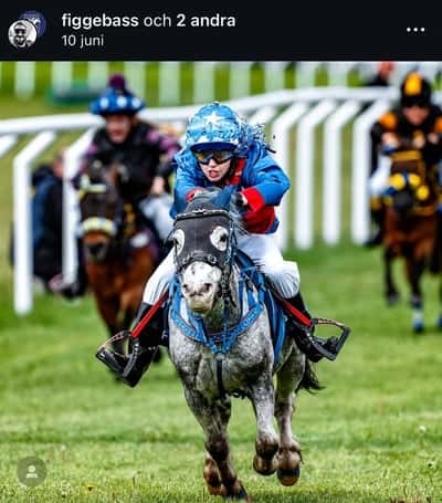 Inlägg 24 av Korsningsponny med titeln Nationaldagsgaloppen 