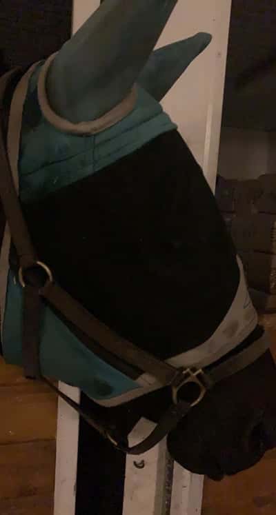 Inlägg 6 av Angloarab med titeln Limpan 