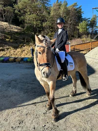 Post 121 of Show jumping with title Dressur stevne🥰