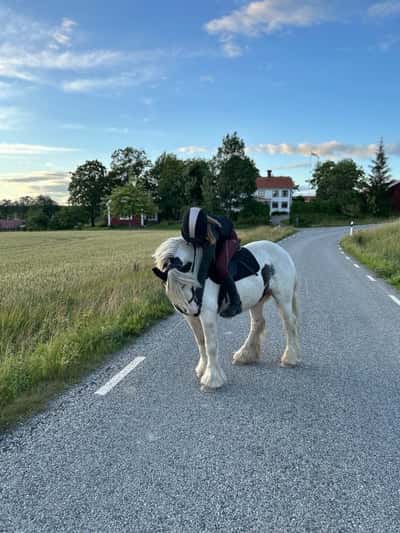 Inlägg 4 av Allround med titeln James❤️