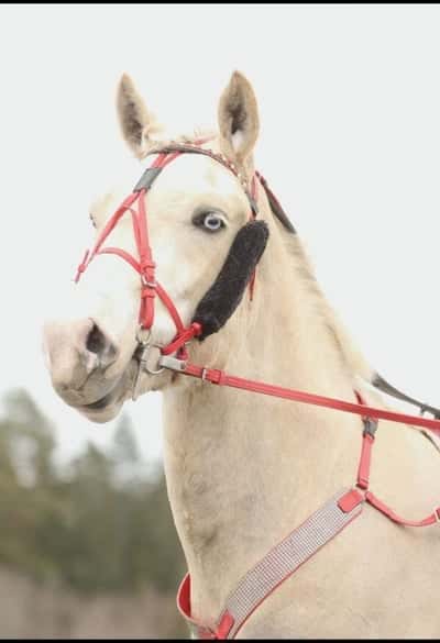 Inlägg 20 av Allround