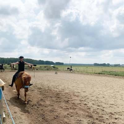 Inlägg 10 av Allround