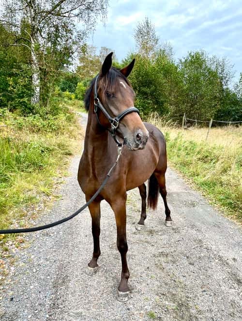 Image of Framtida stjärna⭐️