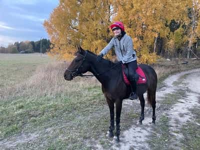 Inlägg 14 av Galopp med titeln Mysig uteritt