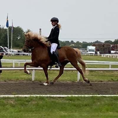 Dagný frá Tjarnarlandi