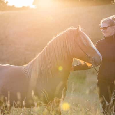 Víglundur frá Hvalnesi
