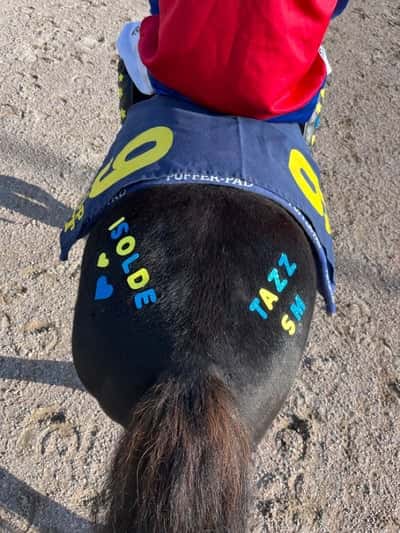 Inlägg 15 av Galopp med titeln Lag-SM 🥉 Bro Park 27/8