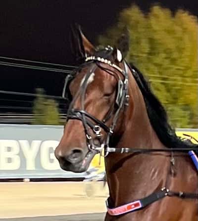 Inlägg 16 av Trav med titeln Kvalade och vann kvalet