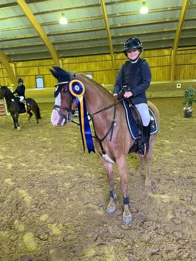 Post 330 of Show jumping with title Bright va så bra