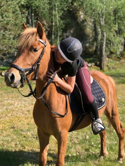 Inlägg 89 av Allround