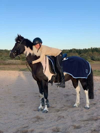 Inlägg 117 av Allround