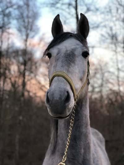 Inlägg 84 av Allround