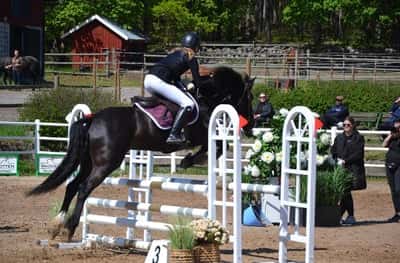 Inlägg 109 av Allround