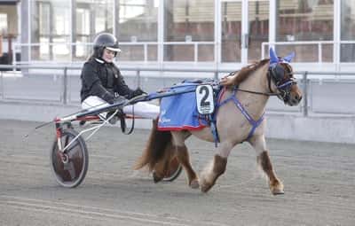 Inlägg 82 av Ponnytrav med titeln Kval