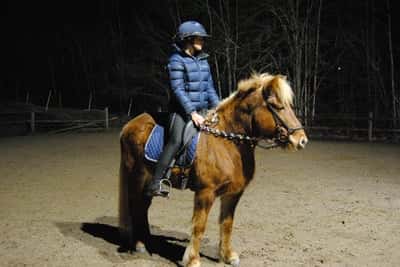 Inlägg 22 av Islandshäst med titeln Nyårsbilder 🤍💐