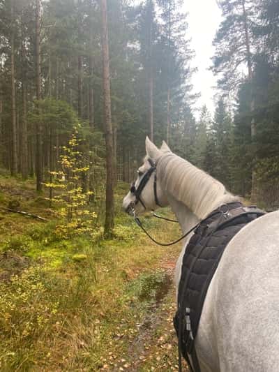Inlägg 29 av Allround med titeln Tömköring🫶🏼