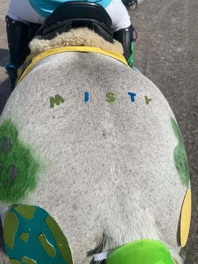 Inlägg 17 av Galopp med titeln Debut i galopp😍