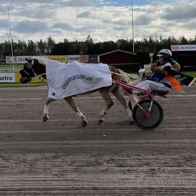 Inlägg 62 av Ponnytrav med titeln Seger Oskar Kylin Bloms Lopp Gävle