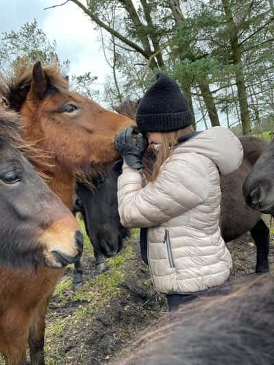 Inlägg 165 av Allround