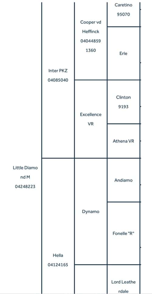 Bild av Diamond 💎