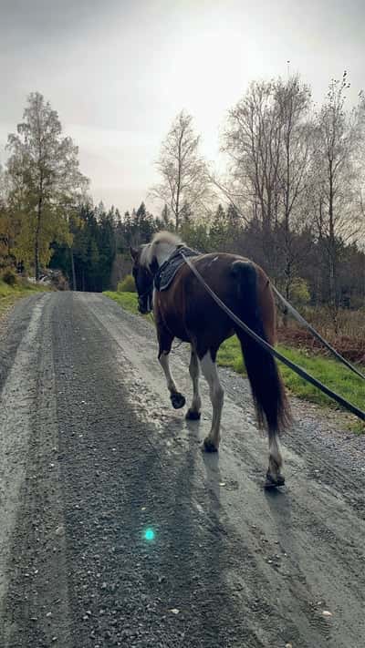 Inlägg 4 av Allround