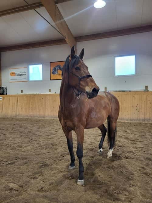 Bild av Rolig och personlig herre💎