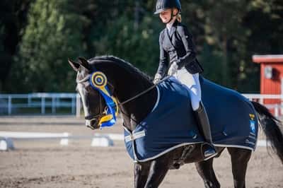 Inlägg 16 av Svensk Ridhäst med titeln  