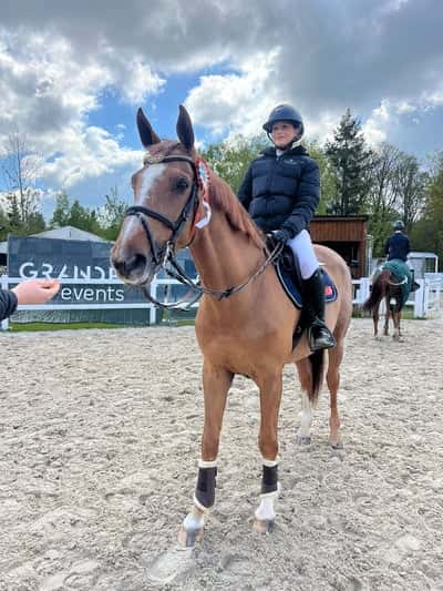 Post 99 of Show jumping with title Bästa Nicco från Compiègne ❤️❤️❤️