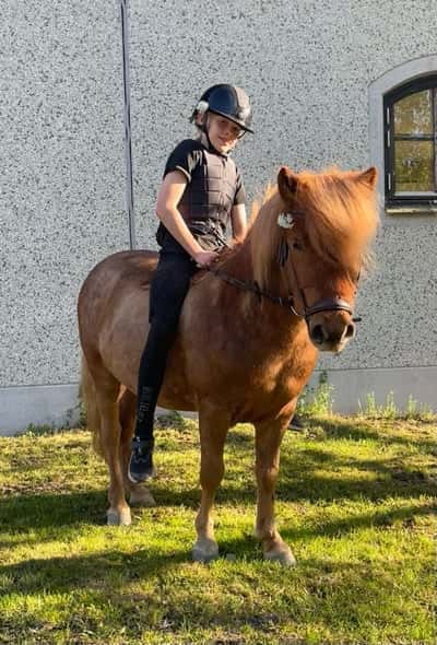 Inlägg 4 av Allround med titeln Vår 🌸