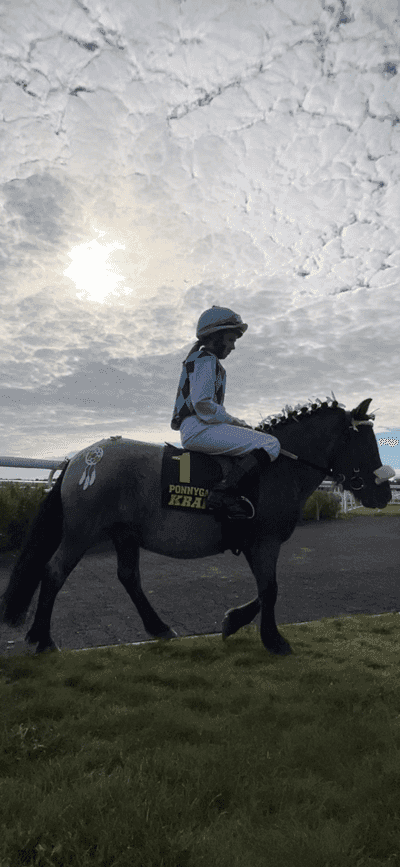 Inlägg 86 av Galopp med titeln Lo