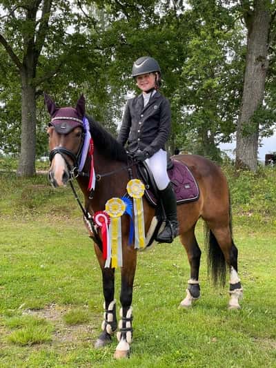 Post 146 of Show jumping