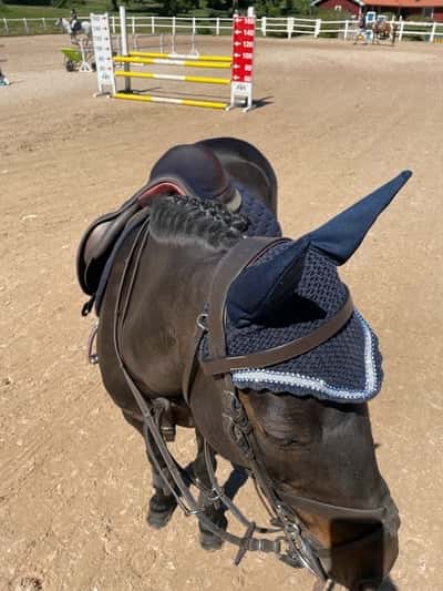 Dawn’s little princess