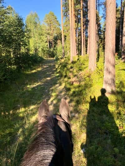 Inlägg 104 av Allround