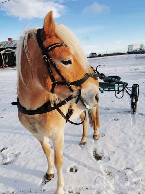 Bild av Trevlig kille 