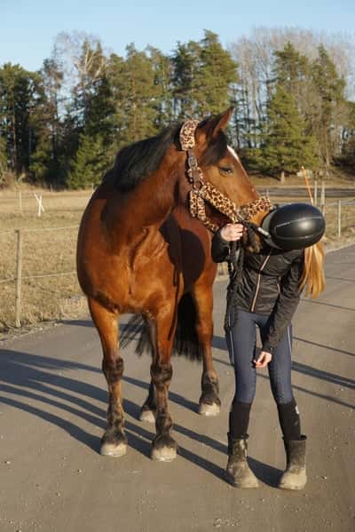 Inlägg 13 av Allround