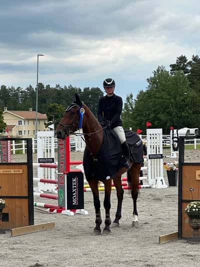 Post 175 of Show jumping