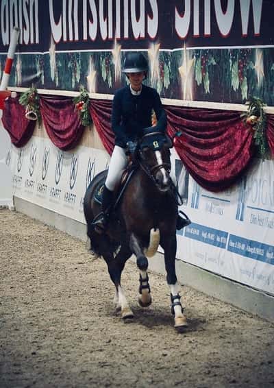 Inlägg 5 av Selle Français