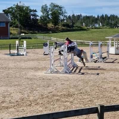 Inlägg 98 av Allround med titeln Tävlar i hoppning