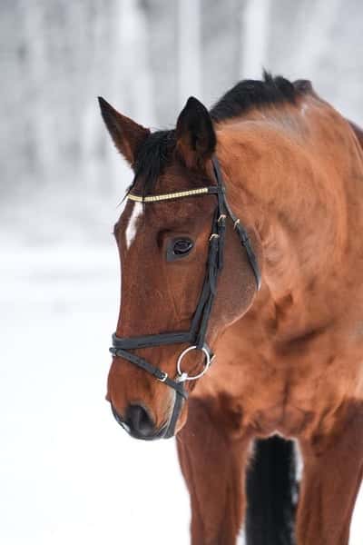 Inlägg 135 av Allround med titeln Fina fair play 