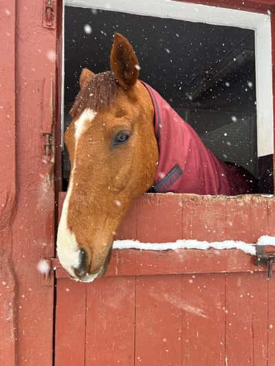 Inlägg 141 av Allround med titeln Mitt hjärta 🫶🏼