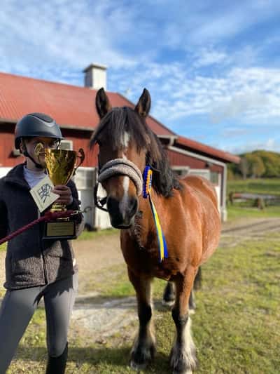 Post 29 of Show jumping with title Km 2024❤️❤️