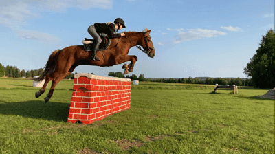 Inlägg 5 av Fälttävlan med titeln Som han hoppar😍