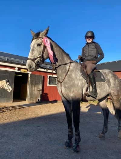 Post 266 of Show jumping